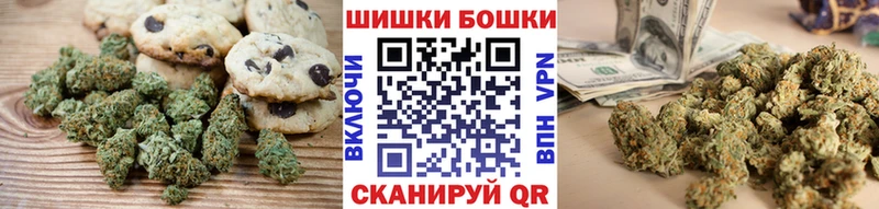 Купить  Белозерск  Canna-Cookies конопля 