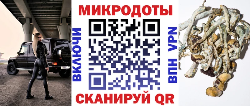 Купить где  Белозерск  Галлюциногенные грибы Psilocybe 